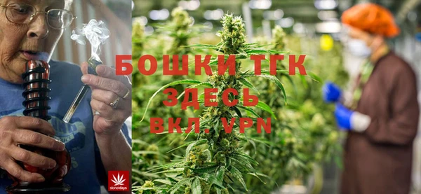 не бодяженный Алексин