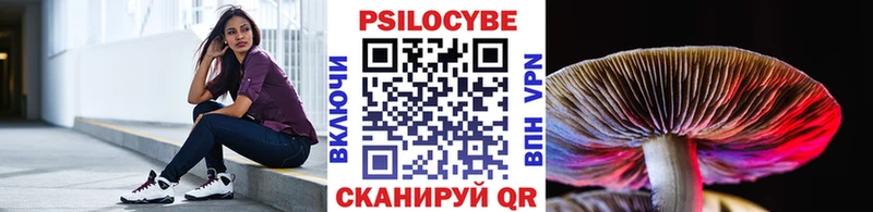 Псилоцибиновые грибы Psilocybine cubensis  mega ССЫЛКА  Белая Холуница 